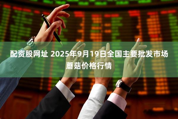 配资股网址 2025年9月19日全国主要批发市场蘑菇价格行情