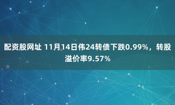 配资股网址 11月14日伟24转债下跌0.99%，转股溢价率9.57%