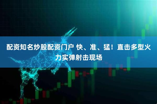 配资知名炒股配资门户 快、准、猛！直击多型火力实弹射击现场
